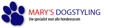Hundesalon, Hundepension und Katzenpflege - Hundesalon Mary Nüsser