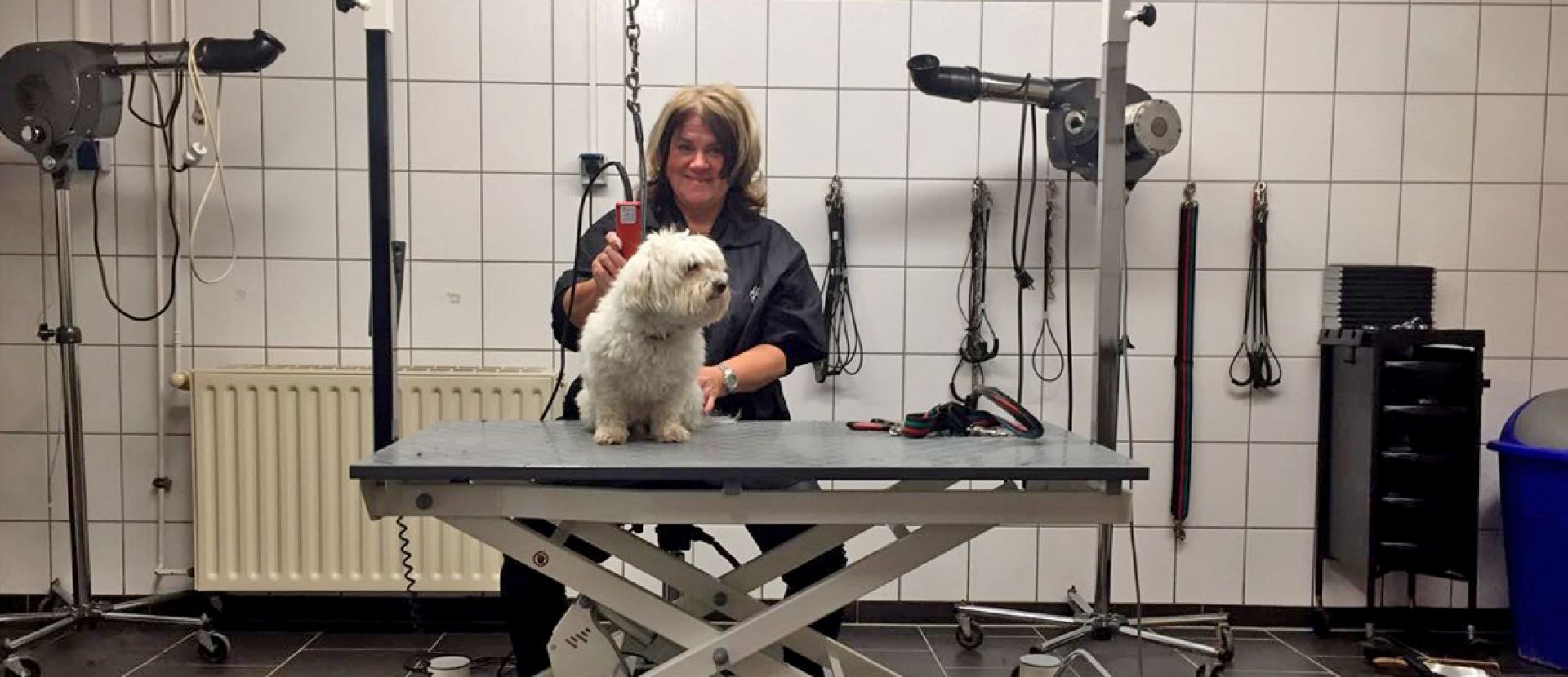 Wir pflegen, trimmen und kontrollieren - Hundesalon Mary Nüsser